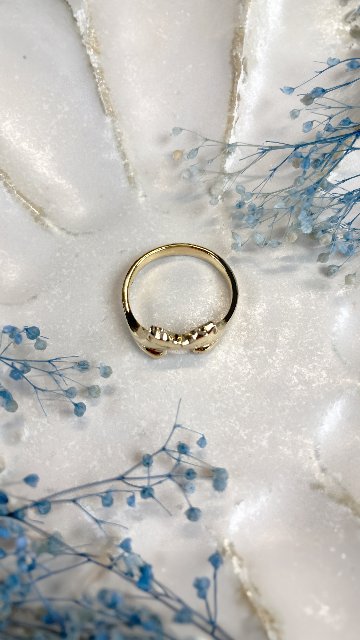 鼻でkissする仲良しねこ達のリングの画像