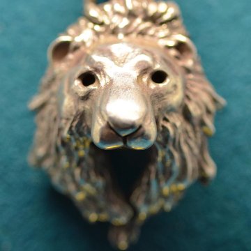 ライオンの顔トップの画像