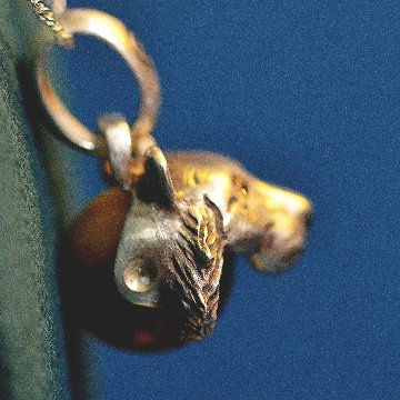トラの顔トップの画像