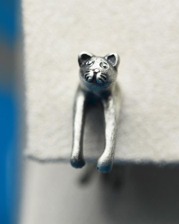 穴にはまって、こまり顔ねこピアスの画像