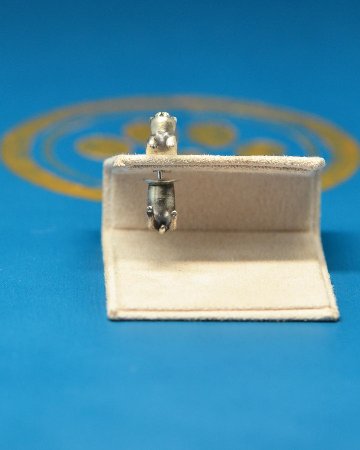 穴にはまって、こまり顔ねこピアスの画像