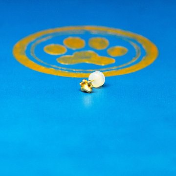 産まれたて仔猫の肉球ピアスの画像