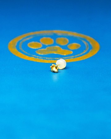 産まれたて仔猫の肉球ピアスの画像