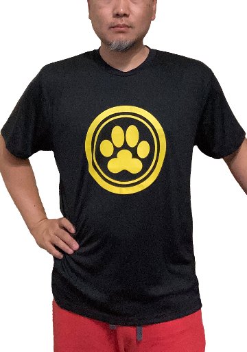 ロゴTシャツ　No.００１速乾ドライタイプの画像