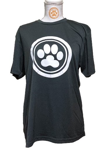 ロゴTシャツ　No.００１速乾ドライタイプの画像