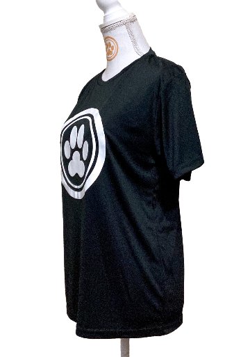 ロゴTシャツ　No.００１速乾ドライタイプの画像