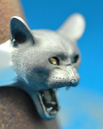 ネコ科の怒りリング～第一弾ねこ～の画像