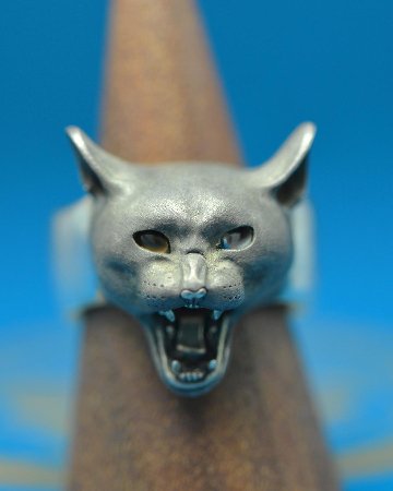 ネコ科の怒りリング～第一弾ねこ～の画像