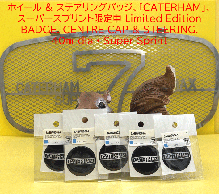 ホイール & ステアリングバッジ、「CATERHAM」、スーパースプリント限定車 の画像