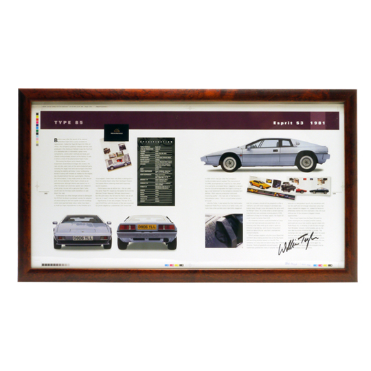 "フレーム入りブックページ、著者直筆サイン入り、タイプ85"の画像