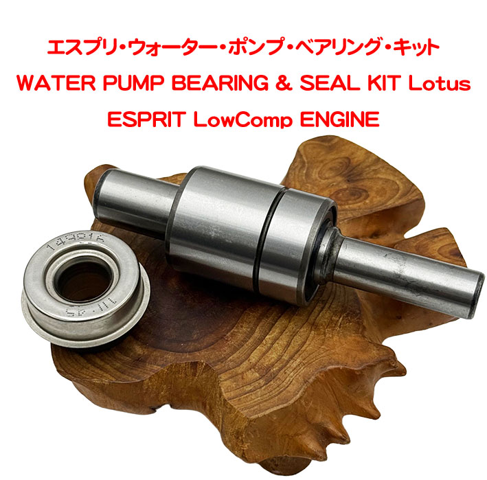 エスプリ・ウォーター・ポンプ・ベアリング・キットの画像