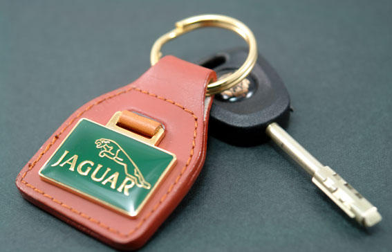 キィーリング・ブラウンスクエアJaguarの画像