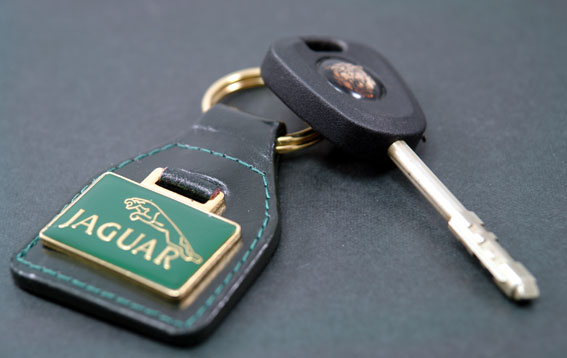 キィーリング・グリーンスクエアJaguarの画像