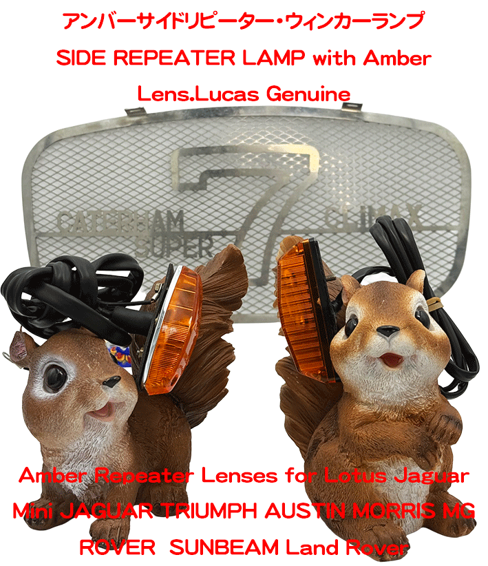 アンバーサイドリピーター・ウィンカーランプの画像