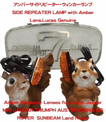 アンバーサイドリピーター・ウィンカーランプの画像