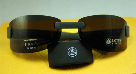 ロータス・サングラス・スタイル05グレイの画像