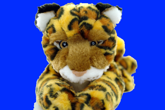 ぬいぐるみ・伏せジャグァー・ベイビー・Jaguarの画像