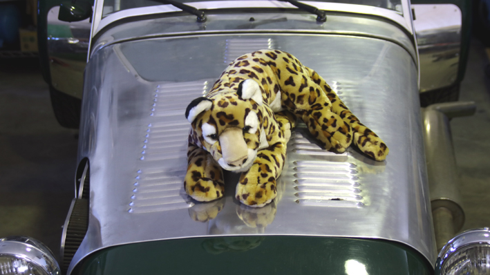 ぬいぐるみ・ジャグァー・Jaguar・TOY5・ラージの画像