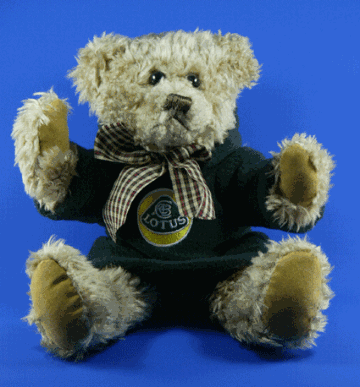 ロータス・2002・テディベアーの画像
