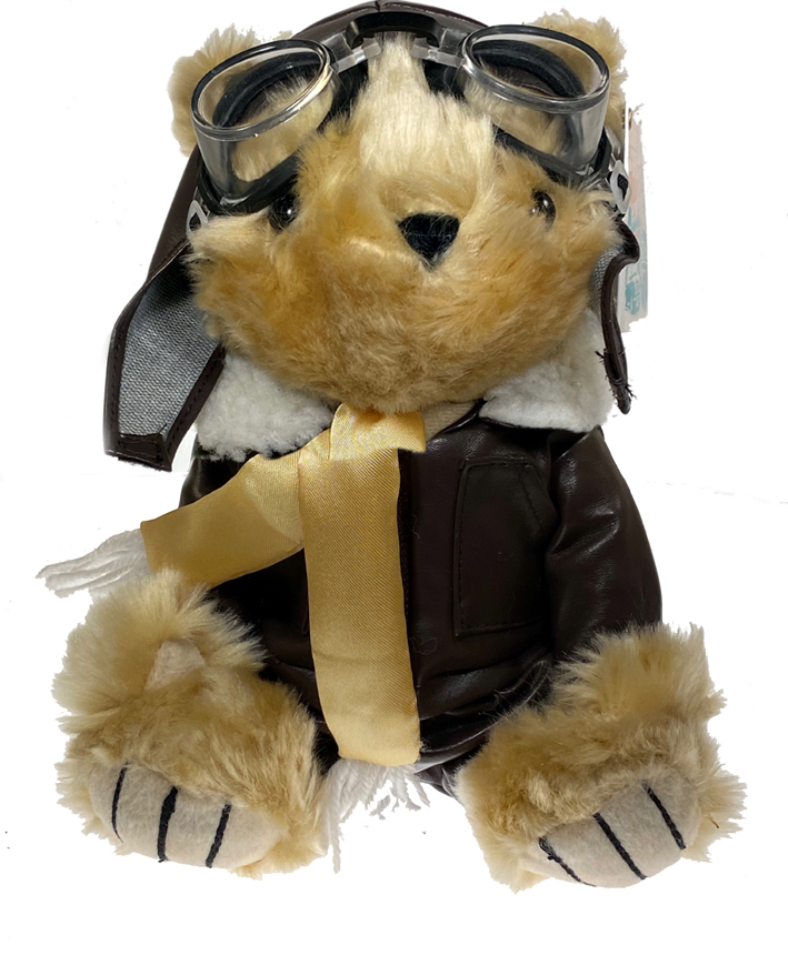 テディベアー・10インチの画像