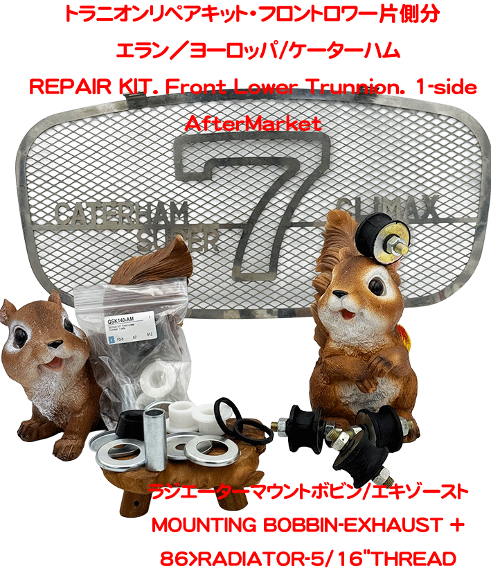 トラニオンリペアキット・フロントロワー片側分　エラン／ヨーロッパ/ケーターハムの画像