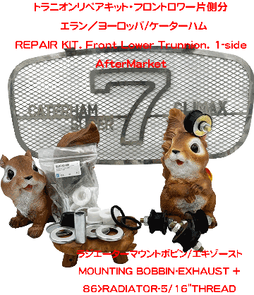 トラニオンリペアキット・フロントロワー片側分　エラン／ヨーロッパ/ケーターハムの画像
