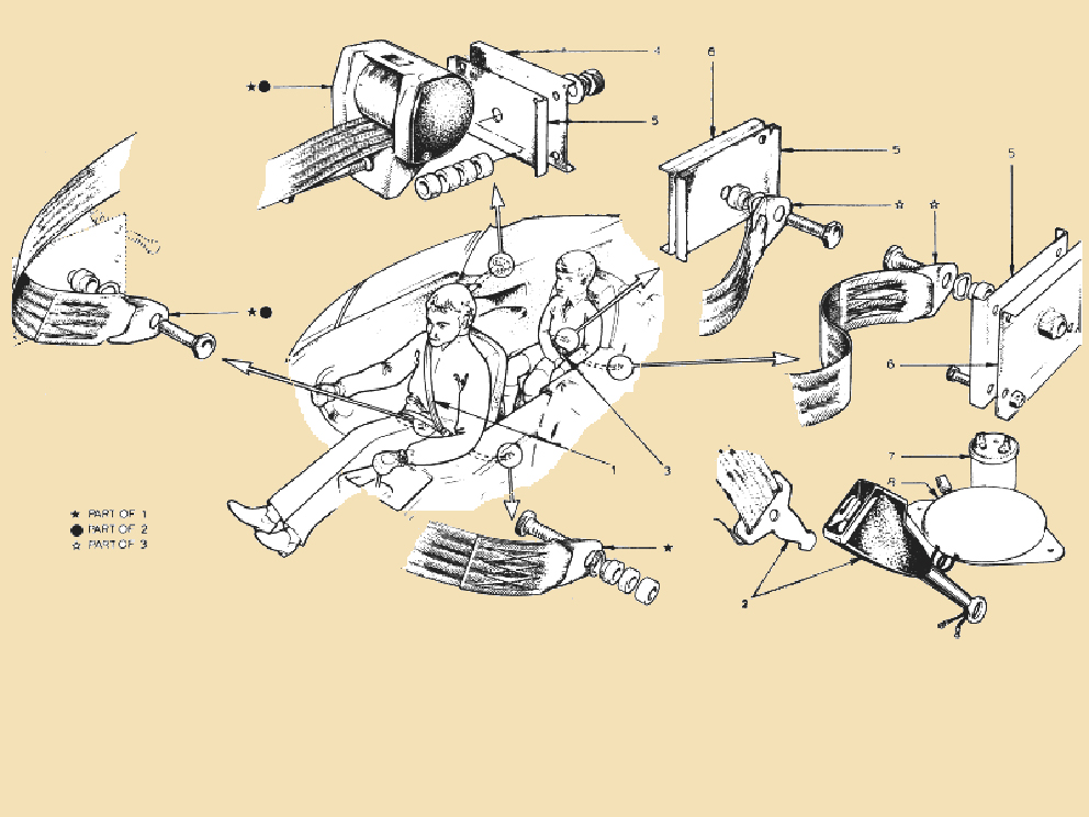 BJ_Seatbeltsの画像