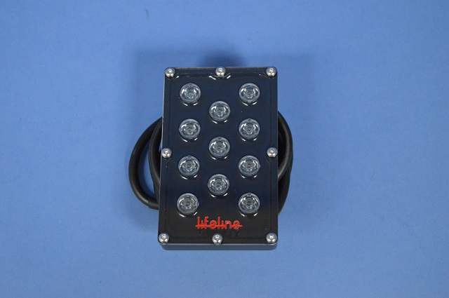 レインライト、レース、2015年以降・Lifelineの画像