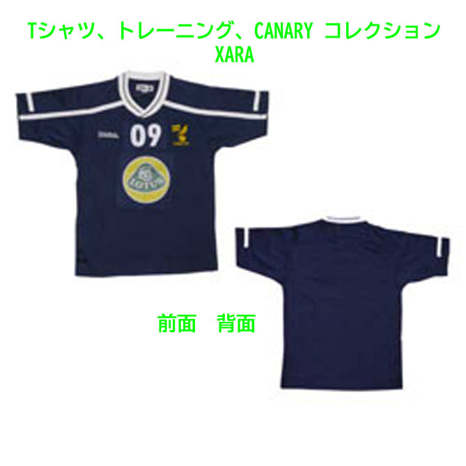 Tシャツ、トレーニング、CANARY コレクション XARAの画像