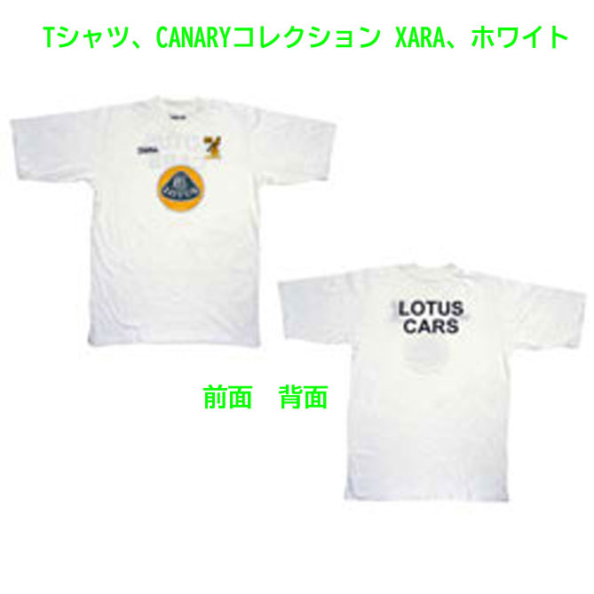 Tシャツ、CANARYコレクション XARA、ホワイトの画像