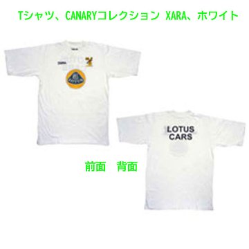 Tシャツ、CANARYコレクション XARA、ホワイト画像