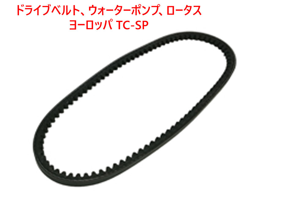 ドライブベルト、ウォーターポンプ、ロータス ヨーロッパ TC-SPの画像