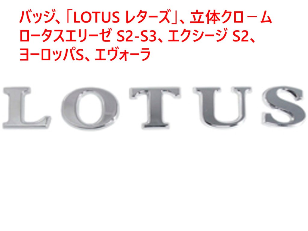 LOTUS ロータス111R シルバー サイドリピーターランプ デカール-