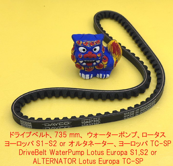 ドライブベルト、735 mm、 ウォーターポンプ、ロータス ヨーロッパ S1-S2 or オルタネーター、ヨーロッパ TC-SPの画像