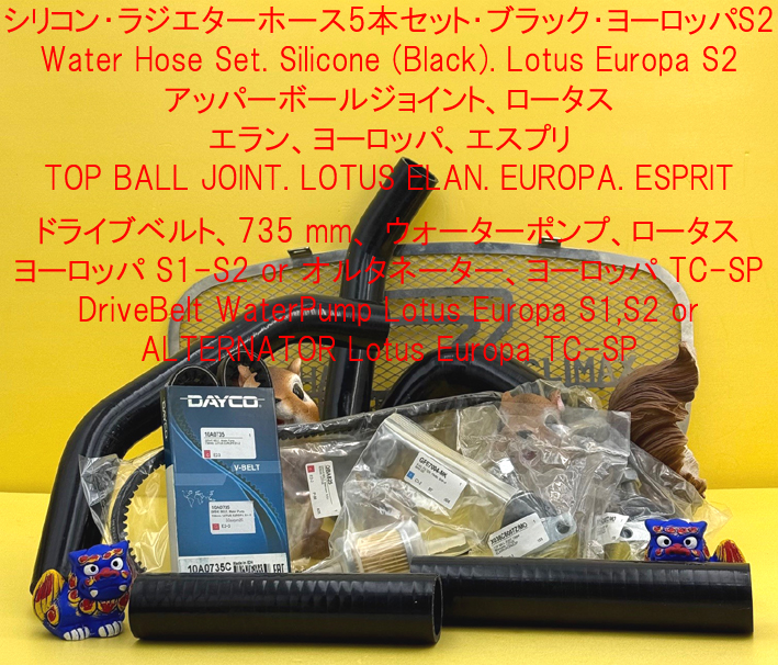 ドライブベルト、735 mm、 ウォーターポンプ、ロータス ヨーロッパ S1-S2 or オルタネーター、ヨーロッパ TC-SPの画像