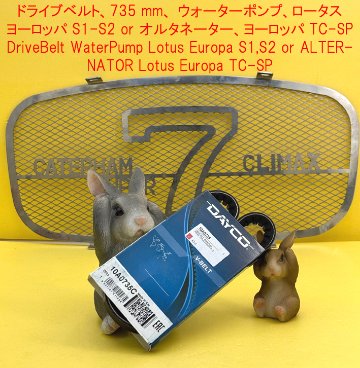 ドライブベルト、735 mm、 ウォーターポンプ、ロータス ヨーロッパ S1-S2 or オルタネーター、ヨーロッパ TC-SPの画像