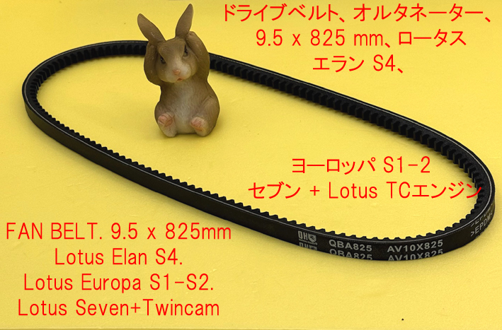 ドライブベルト、オルタネーター、 9.5 x 825 mm、ロータスエラン S4、 ヨーロッパ S1-2、 セブン + Lotus TCエンジンの画像