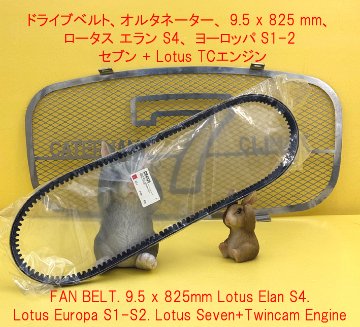 ドライブベルト、オルタネーター、 9.5 x 825 mm、ロータスエラン S4、 ヨーロッパ S1-2、 セブン + Lotus TCエンジンの画像