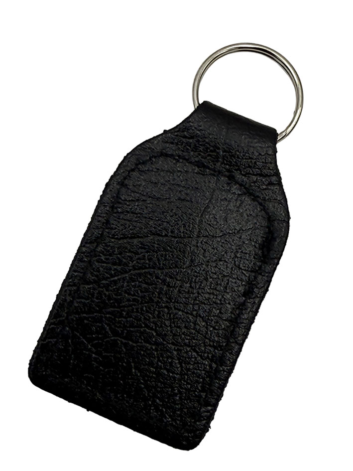  キーホルダー、トライアンフ、ブルー/ホワイトの画像