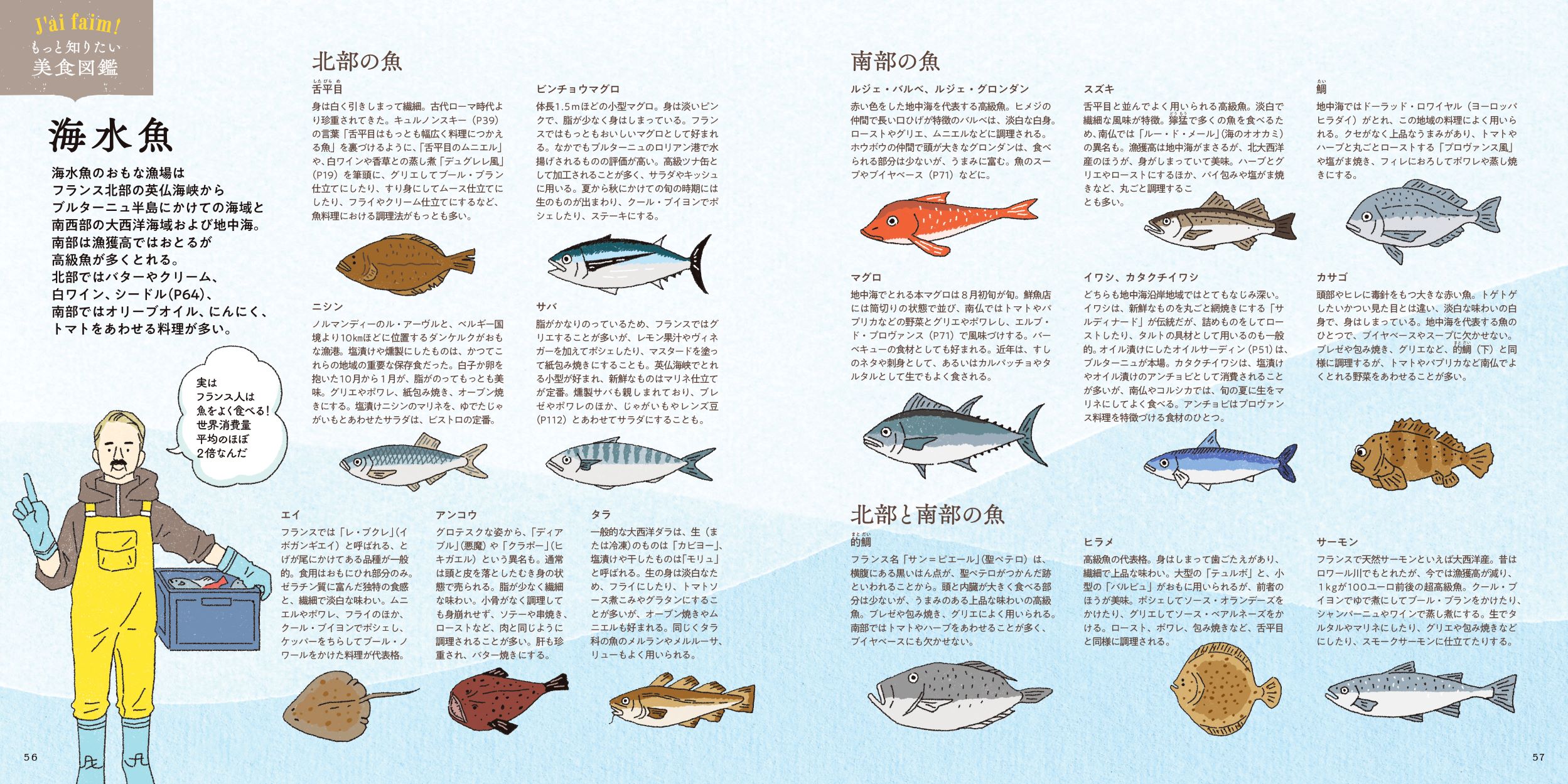 フランス料理図鑑の画像