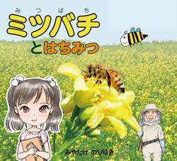 ミツバチとはちみつ画像