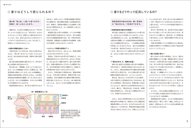 料理に役立つ 香りと食材の組み立て方の画像