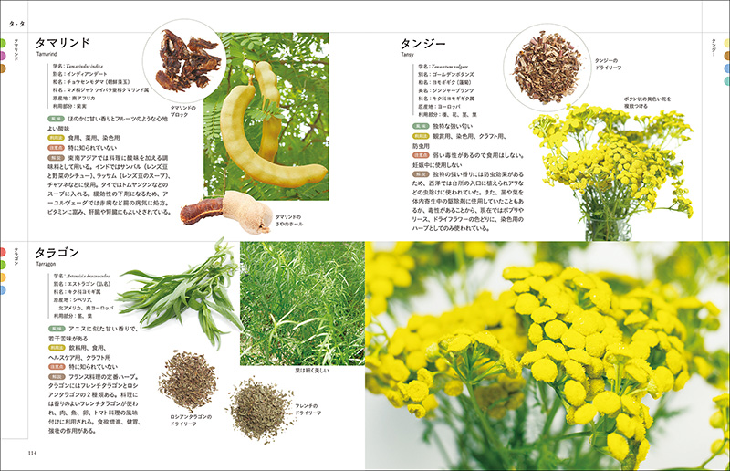 ハーブ＆スパイス事典 第3版の画像