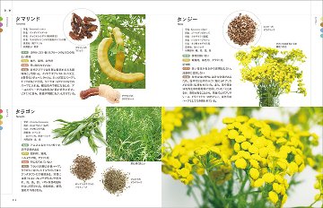 ハーブ＆スパイス事典 第3版の画像