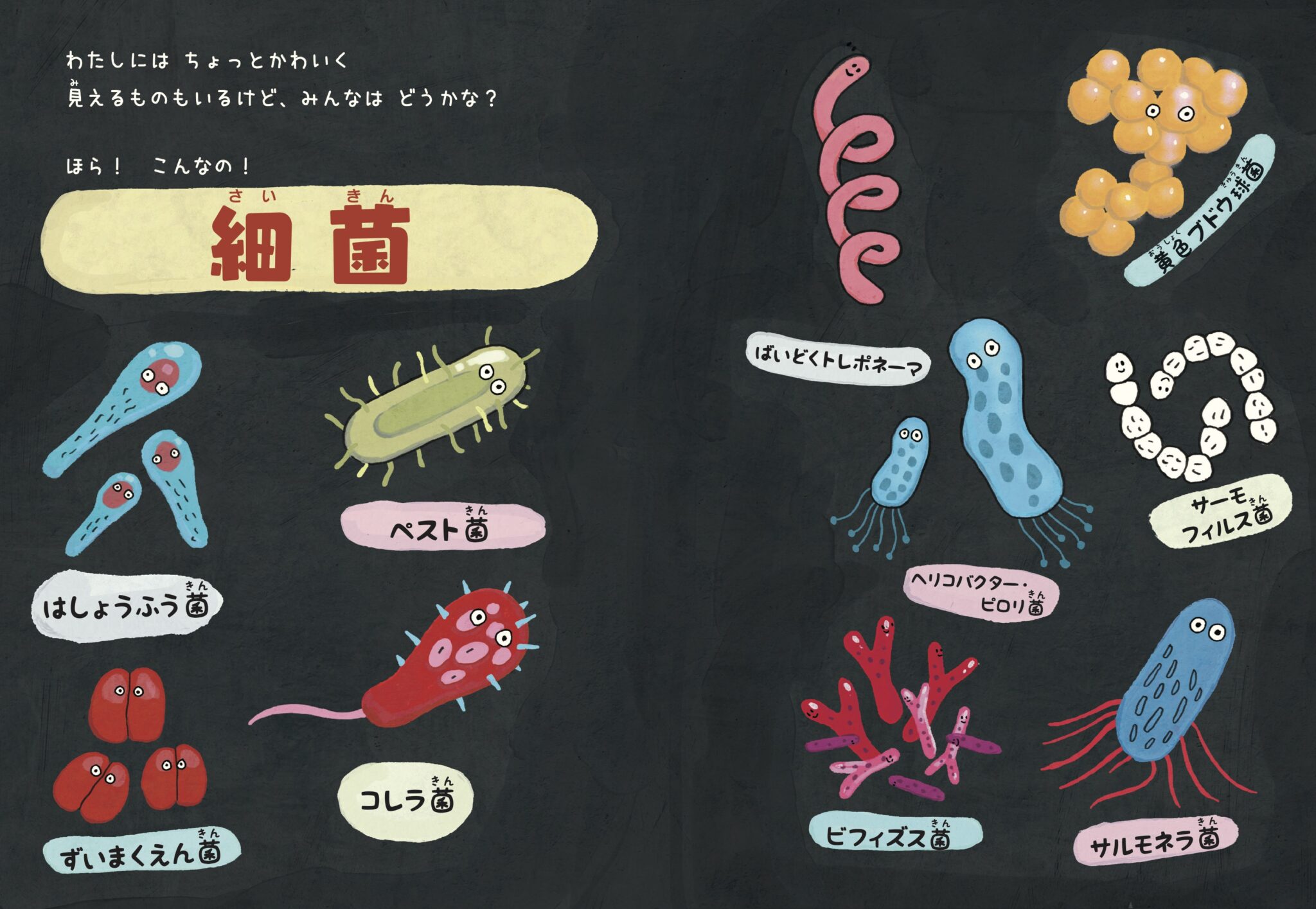 【絵本】びせいぶつクラブへようこその画像