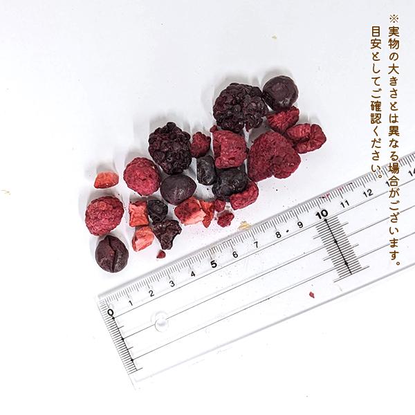 わんもぐ　特殊フリーズドライベリーミックスの画像