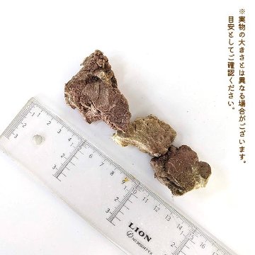 わんもぐ　特殊フリーズドライ馬肉の画像
