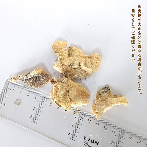 わんもぐ　特殊フリーズドライ真鯛の画像
