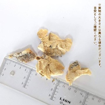 わんもぐ　特殊フリーズドライ真鯛の画像