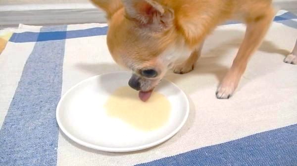 みのり　ボーンブロスダチョウ骨　20g×6袋の画像